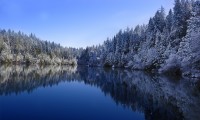 世界滑雪国际青少年节：跨国交流促进技艺提升，世界滑雪协会